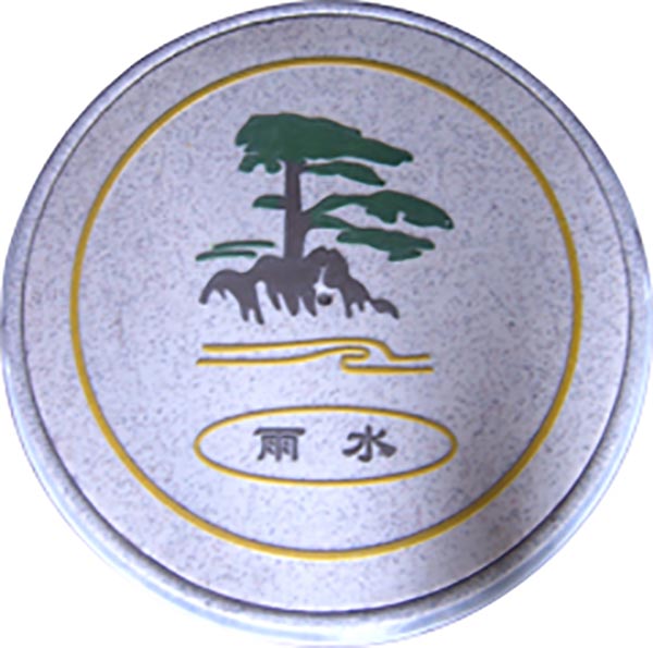 藝術(shù)井蓋